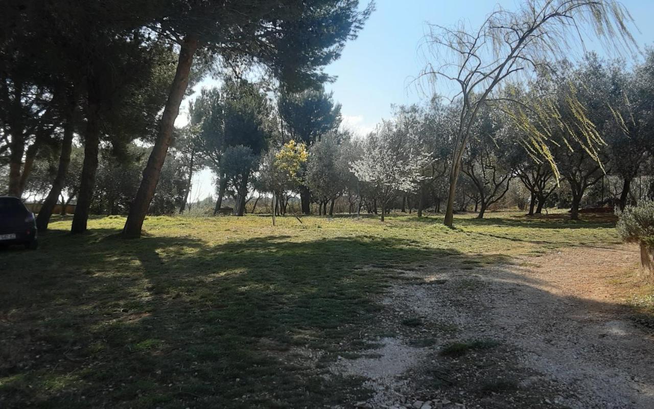 Nena 3* Apartma *