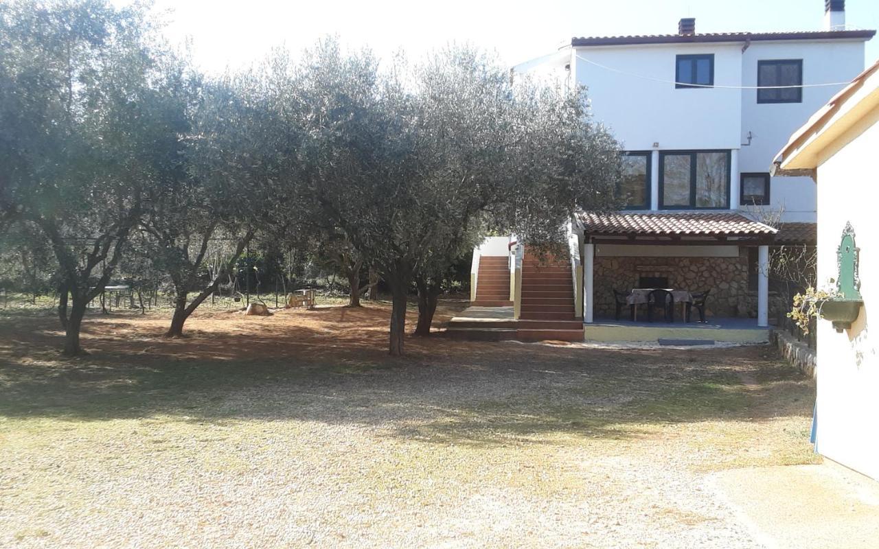 Apartment Nena 3*