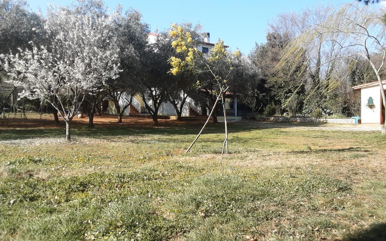 Nena 3* Apartma