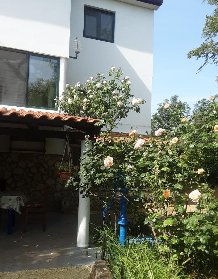 Nena 3* Apartment Liznjan