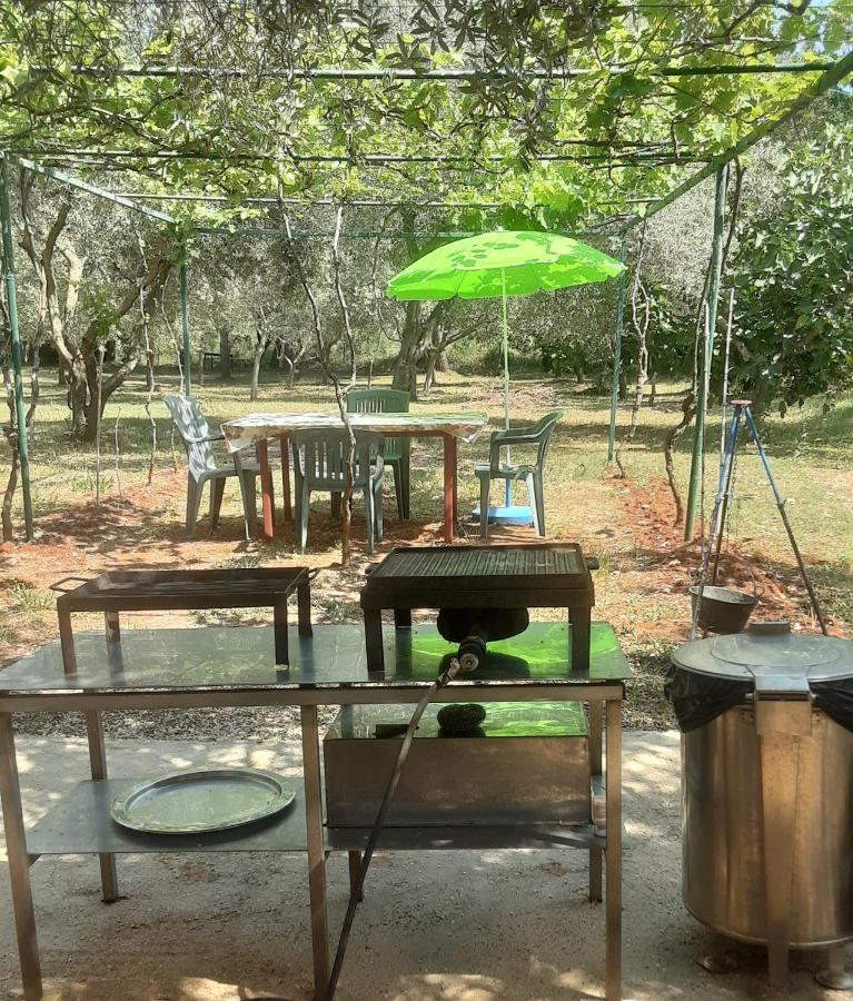 Apartma Nena 3* Liznjan