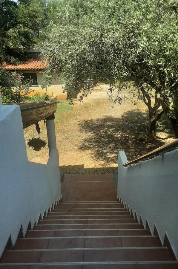 Apartment Nena 3*